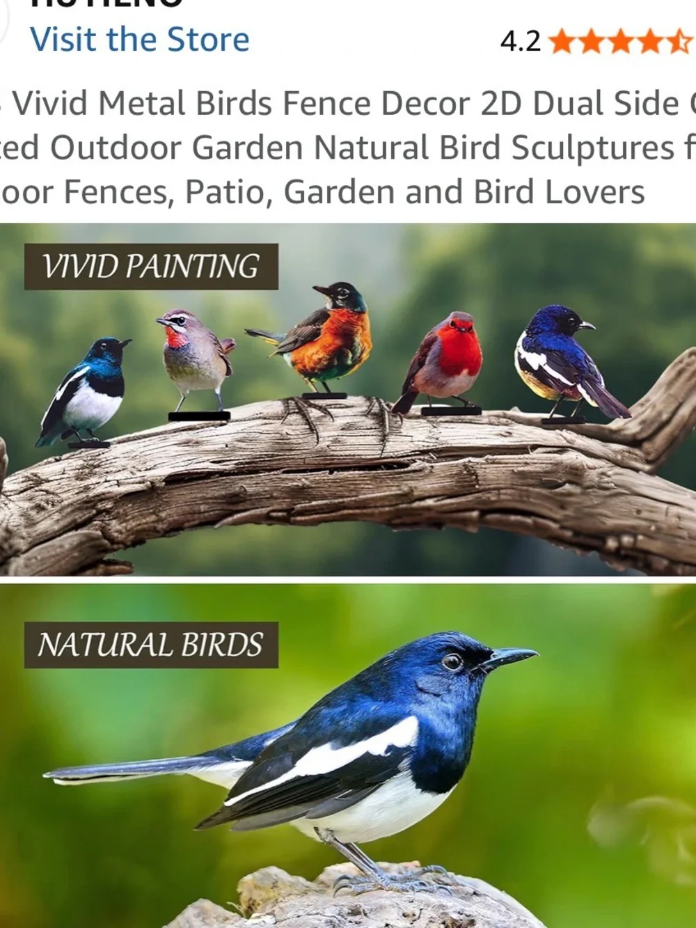 Colorful Decorative Bird Fence Stakes - Assorted Colors